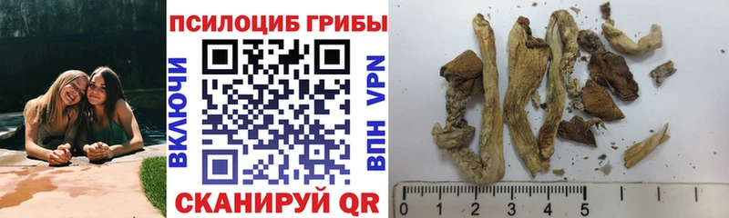 Галлюциногенные грибы Psilocybine cubensis  МЕГА рабочий сайт  Гремячинск  продажа наркотиков 